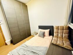 The Regency At Tiong Bahru (D3), Condominium #464158531